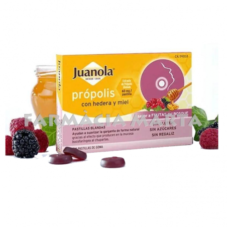 JUANOLA PRÓPOLIS HEDERA MIEL FRUTAS BOSQUE 24 PASTILLES